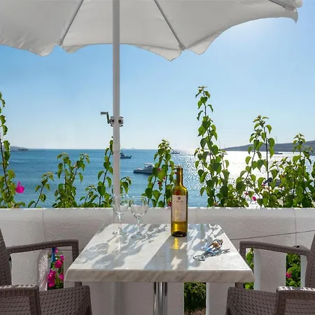 Irene - Beachfront Appart hôtel