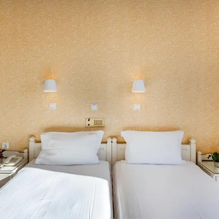 Irene - Beachfront アパートホテル パロス島