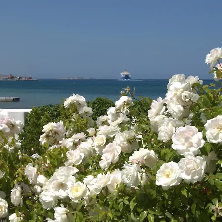 Appart hôtel Irene - Beachfront