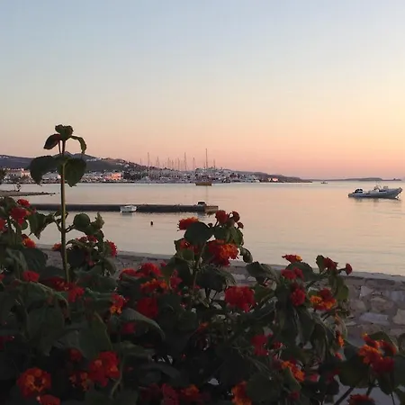 Irene - Beachfront Aparthotel Parikia (Paros)