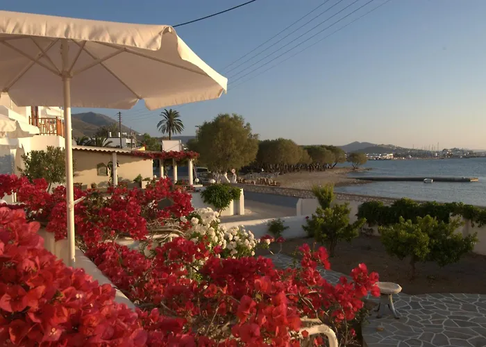 Irene - Beachfront Parikia (Paros)