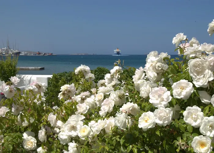 Aparthotel Irene - Beachfront