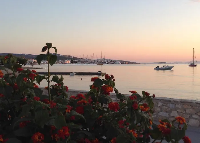 Irene - Beachfront Aparthotel Parikia (Paros)